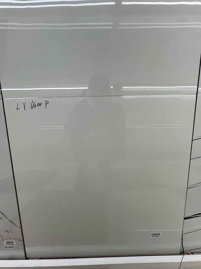 LY6600P